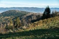 Polish mountains in Silesia Beskid in Szczyrk. Skrzyczne hill inPoland in autumn, fall season aerial drone photo Royalty Free Stock Photo