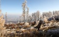 Polish mountains - Sudety