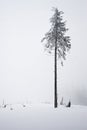 Polish mountains during winter