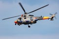Polish Navy PZL W-3 Sokol utility transport helicopter. Aviation and military rotorcraft.