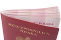 Polish Passport #2