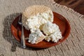 Polish skimmed fresh smoked milk twarog cheese, white cow cheese compared to curd, quark, or cottage cheese made in Poland