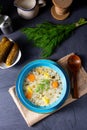 Polish sour cucumber soup or salt cucumber soup Royalty Free Stock Photo