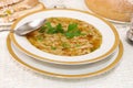 Polish tripe soup (flaki) Royalty Free Stock Photo