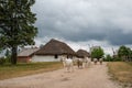 Polish village.Cattage village landscape in Poland. Royalty Free Stock Photo