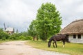 Polish village.Cattage village landscape in Poland. Royalty Free Stock Photo