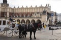 Polish wait and ride horse drawn carriages for Pole people and foreigner travelers use service tour Krakow Old Town in Main Market Royalty Free Stock Photo