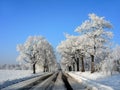 Polish winter landscape