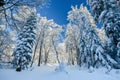 Polish Winter landscape in the mountains, snowy trees and roads