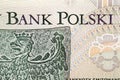 Polish Zloty closeup Royalty Free Stock Photo