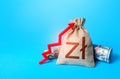 Polish zloty money bag and red up arrow. Rise in profits, budget fees. Increase in the deposit rate. Increase income and business Royalty Free Stock Photo