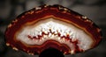 Polished Agate Geode Cross Section Royalty Free Stock Photo
