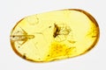 Polished Baltic amber with prehistoric fly inclusion macro image Royalty Free Stock Photo