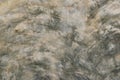 Polished bare concrete wall texture Royalty Free Stock Photo