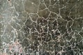 Polished bare concrete wall texture Royalty Free Stock Photo