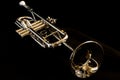 Polished Brass Concert Trumpet on Display Royalty Free Stock Photo