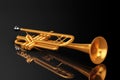 Polished Brass Trumpet Royalty Free Stock Photo