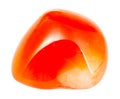 polished Carnelian (cornelian) gem stone isolated