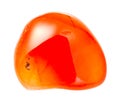 polished Carnelian (cornelian) gemstone isolated