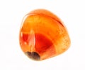 polished carnelian (cornelian) gemstone on white