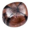 Polished Chiastolite Andalusite stone isolated Royalty Free Stock Photo
