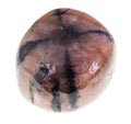 polished chiastolite (cross stone) gem on white Royalty Free Stock Photo