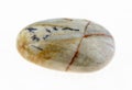 polished chinese Picture jasper stone on white