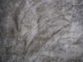 Polished concrete,Design on cement and concrete texture for pattern and background. Royalty Free Stock Photo
