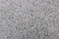 Polished concrete with small gravel texture