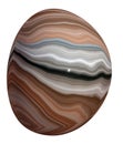 Polished filamentary Onyx Pebble