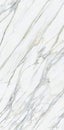 Polished finish marble design
