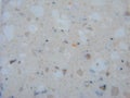 Polished granite ivory texture