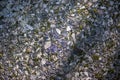 Polished granite surface. Moss and sunshine. Beautiful background. Concept image Royalty Free Stock Photo