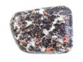 polished Hornblende rock with garnet crystals