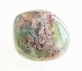 polished Moss Agate stone on white