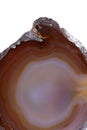 Polished multicolor agate slice