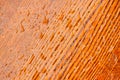 Polished Natural Wood Texture with Water Drops