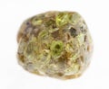 polished Peridot (chrysolite, olivine) in stone