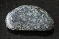 Polished Peridotite stone with Phlogopite on black