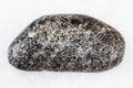 Polished Peridotite stone with Phlogopite on white