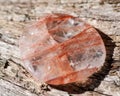 Polished quartz flat palm stone with red hematite inclusions from Madagascar on fibrous tree bark in the forest. Royalty Free Stock Photo