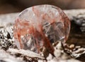 Polished quartz flat palm stone with red hematite inclusions from Madagascar on fibrous tree bark in the forest. Royalty Free Stock Photo