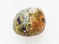 polished rhyolite rainforest jasper gem