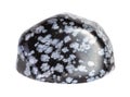 polished Snowflake Obsidian gem isolated