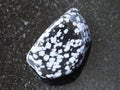 Polished snowflake obsidian gem stone on dark Royalty Free Stock Photo