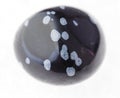 polished snowflake obsidian gem on white Royalty Free Stock Photo