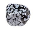 polished Snowflake Obsidian gemstone isolated Royalty Free Stock Photo