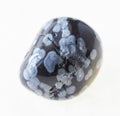 polished snowflake obsidian stone on white Royalty Free Stock Photo