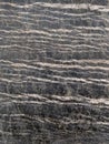 Polished stone serpentine with streaks of asbestos chrysotile. Dark gray with light stripes
