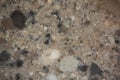 Polished stone surface with grain Royalty Free Stock Photo